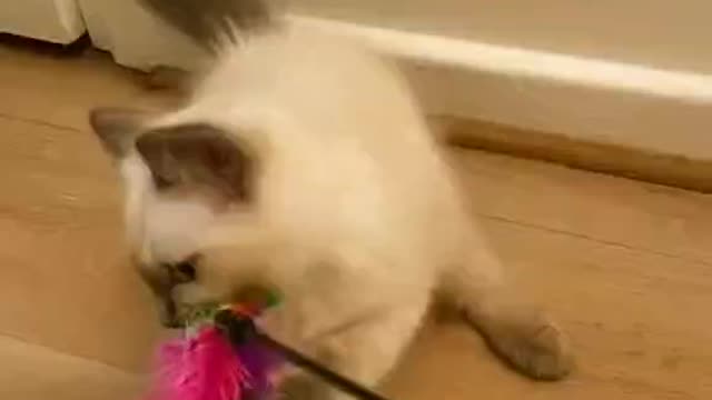 play with u