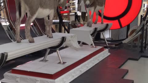 Weird mall display