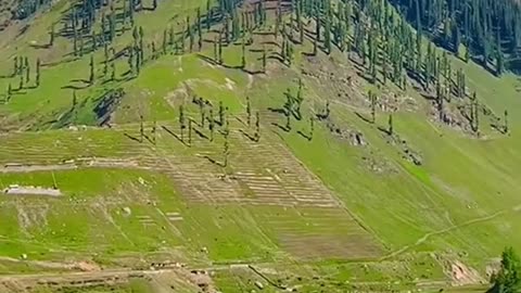 Most Beautiful Views Batakundi Naran Valley Pakistan