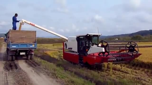 Sophisticated Machines Harvesting Rice from Japan