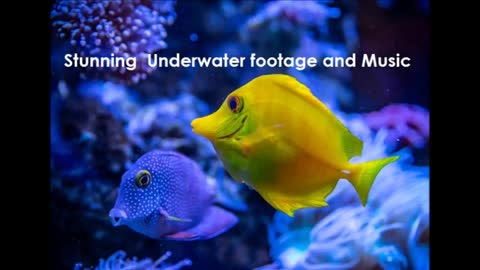 Stunning Underwater footage and Music Nature Relaxation