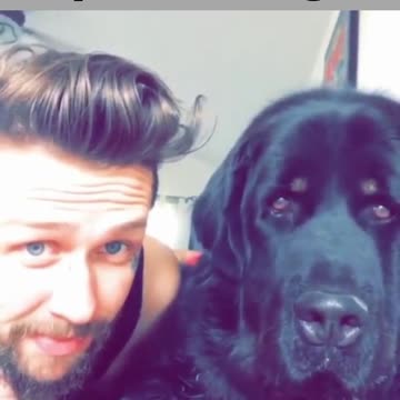 decided to pin the dog