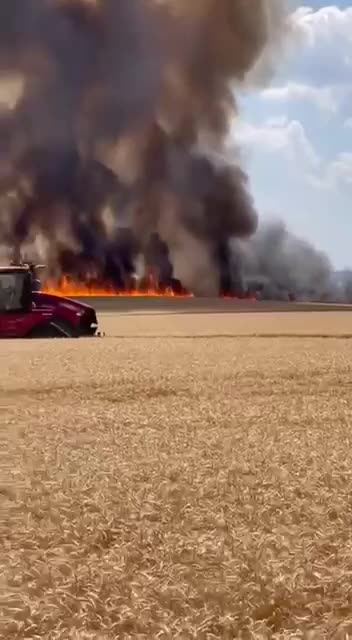 A wheat field is on fire in western Romania