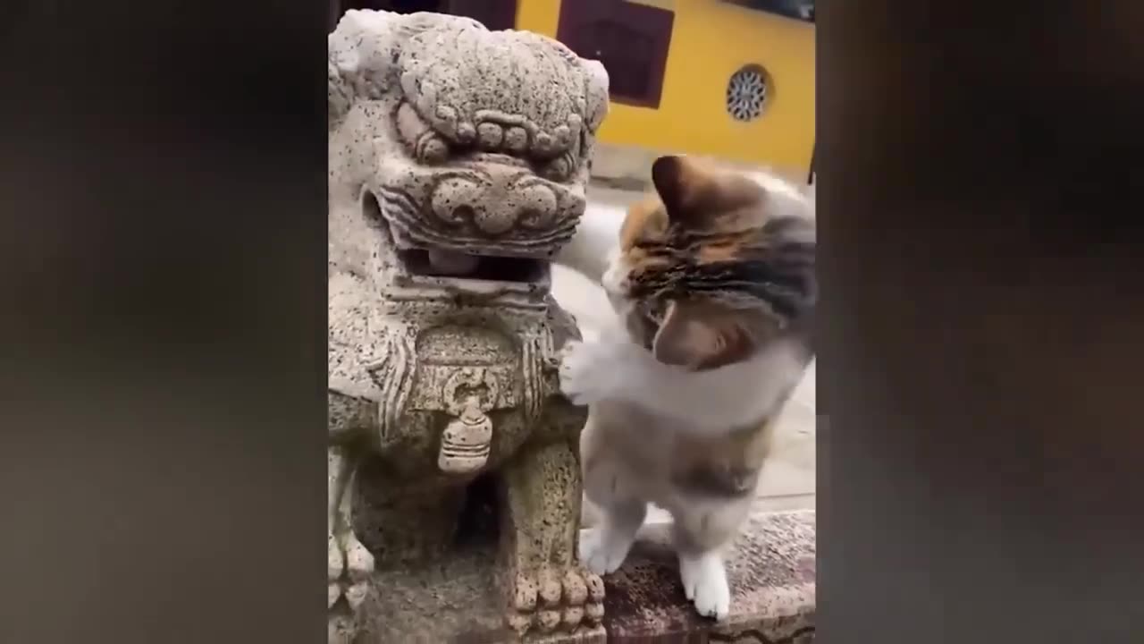 New Funny Videos 2024 😍 Funniest Cats & Dogs Videos🐶😹