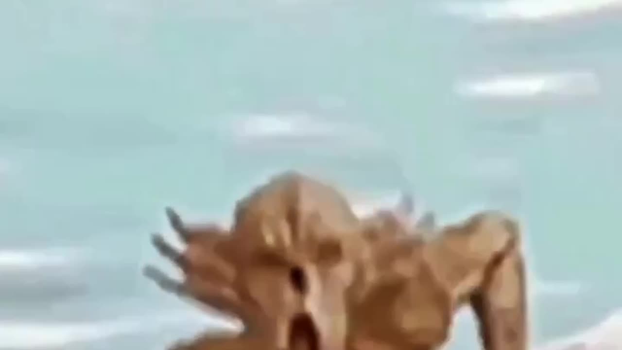 OMG