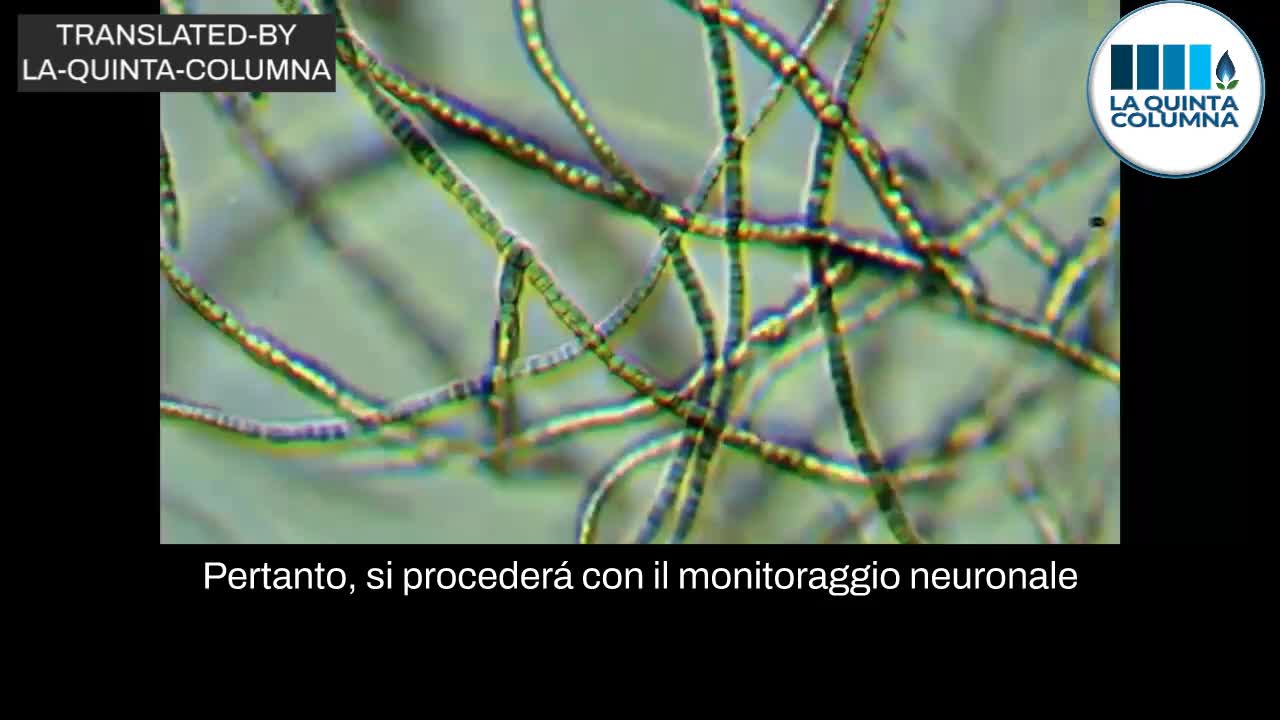 Nanotuboli di carbonio a base grafenica che si autoassemblano nel "vaccino" PFIZER