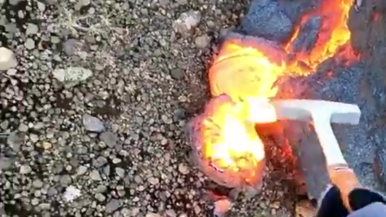 Collecting fresh lava to research.