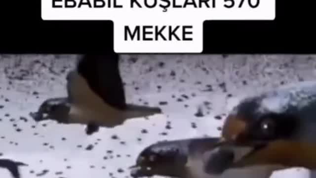 Allahuakber