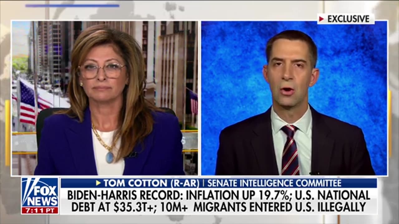 Kamala Harris is ‘not up to the job’_ Sen. Tom Cotton