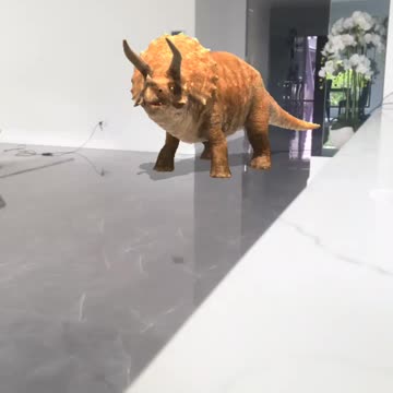 Dino in my house 6