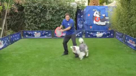 8 Dog Tricks