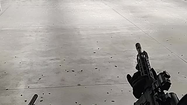 Diamondback AR-15 with WOT