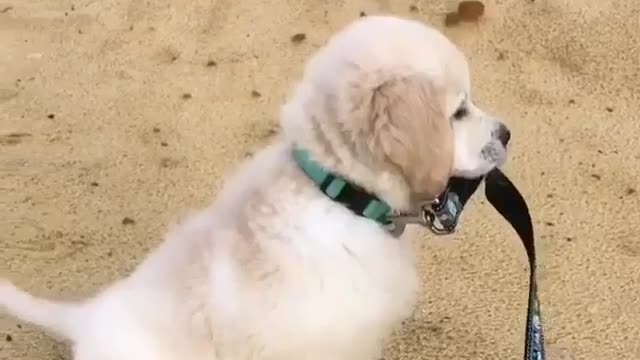 Tired neck