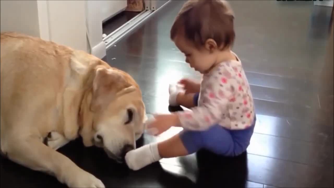 Cute babies with their little dogs