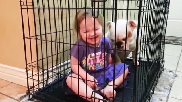 Dogs are the best friend of Babies 46