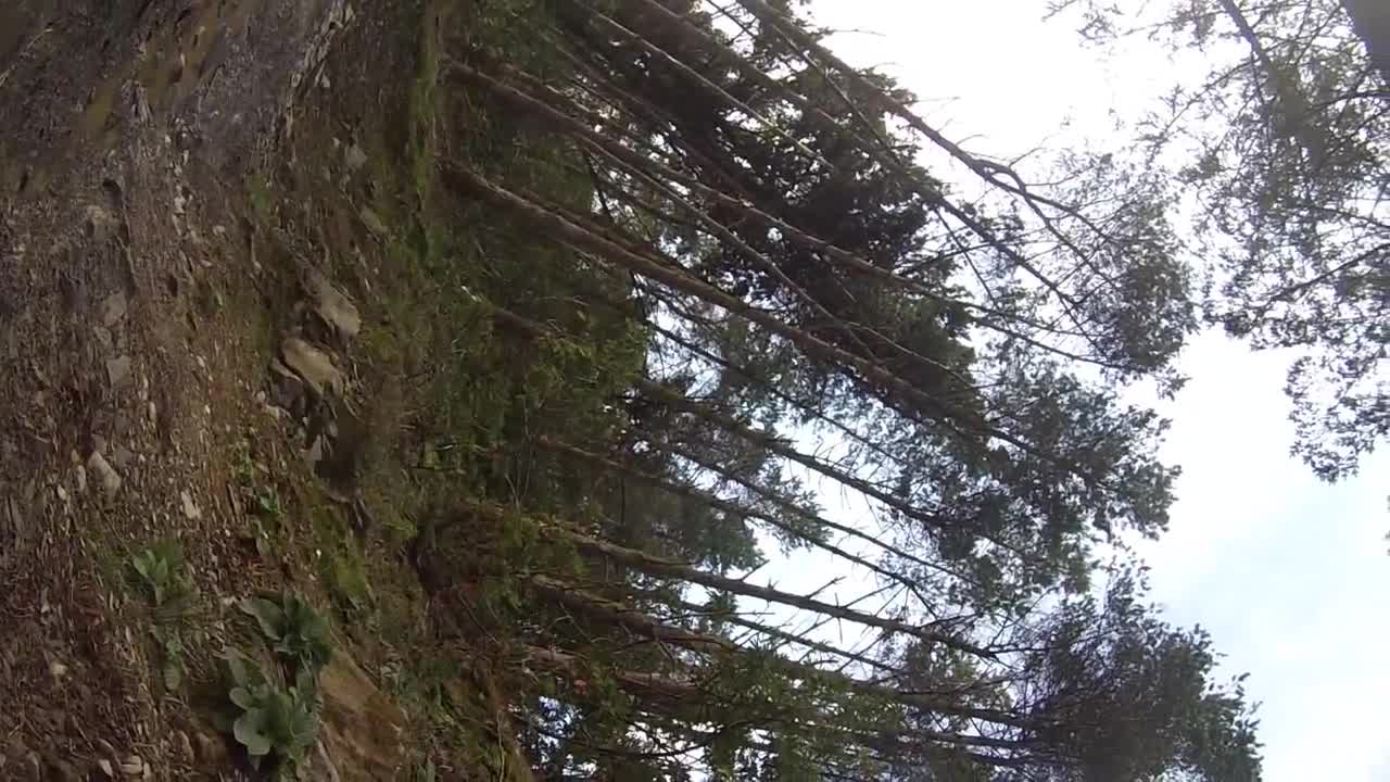 Antur stiniog mtb black trail crash fail - gopro october 2014