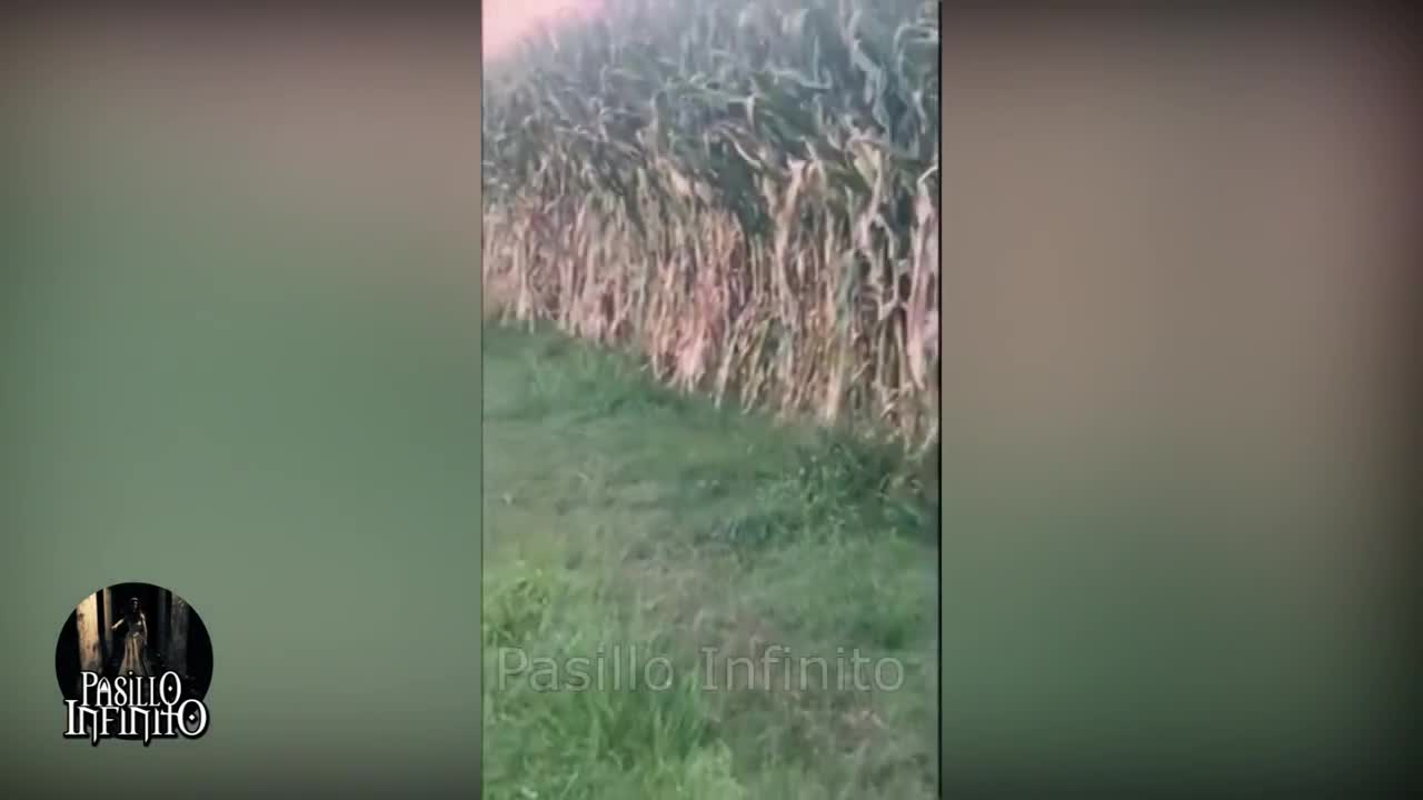 ''video de terror hechos reales ( EL ULTIMO ES EL MAS ESCALOFRIANTE)