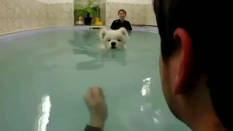 Swimming