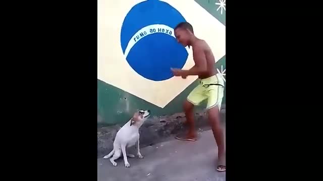 PERRITO BAILANDO-DANCING PUPPY