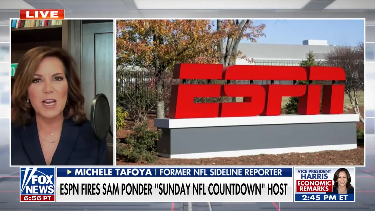 ESPN blasted over NFL reporter's firing: 'So troubling'