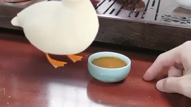 Duck Not Drink