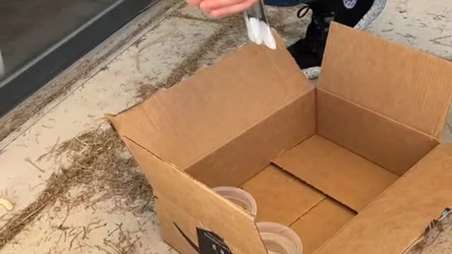 Is this bird OK-!