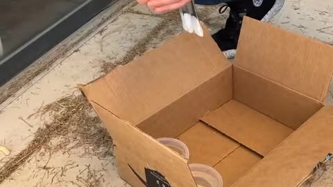 Is this bird OK-!