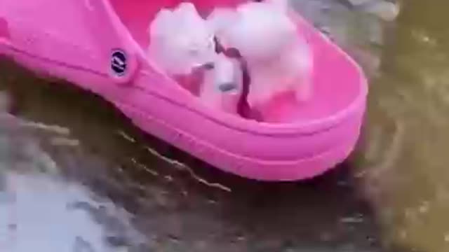 Funny Baby Playing With Water - Baby Outdoor Videos