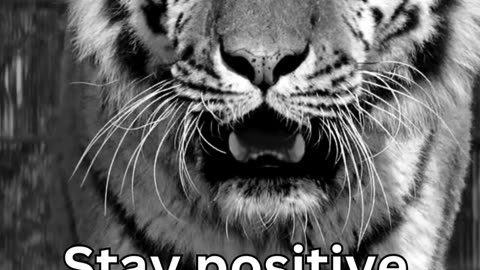 Always stay positive...!!