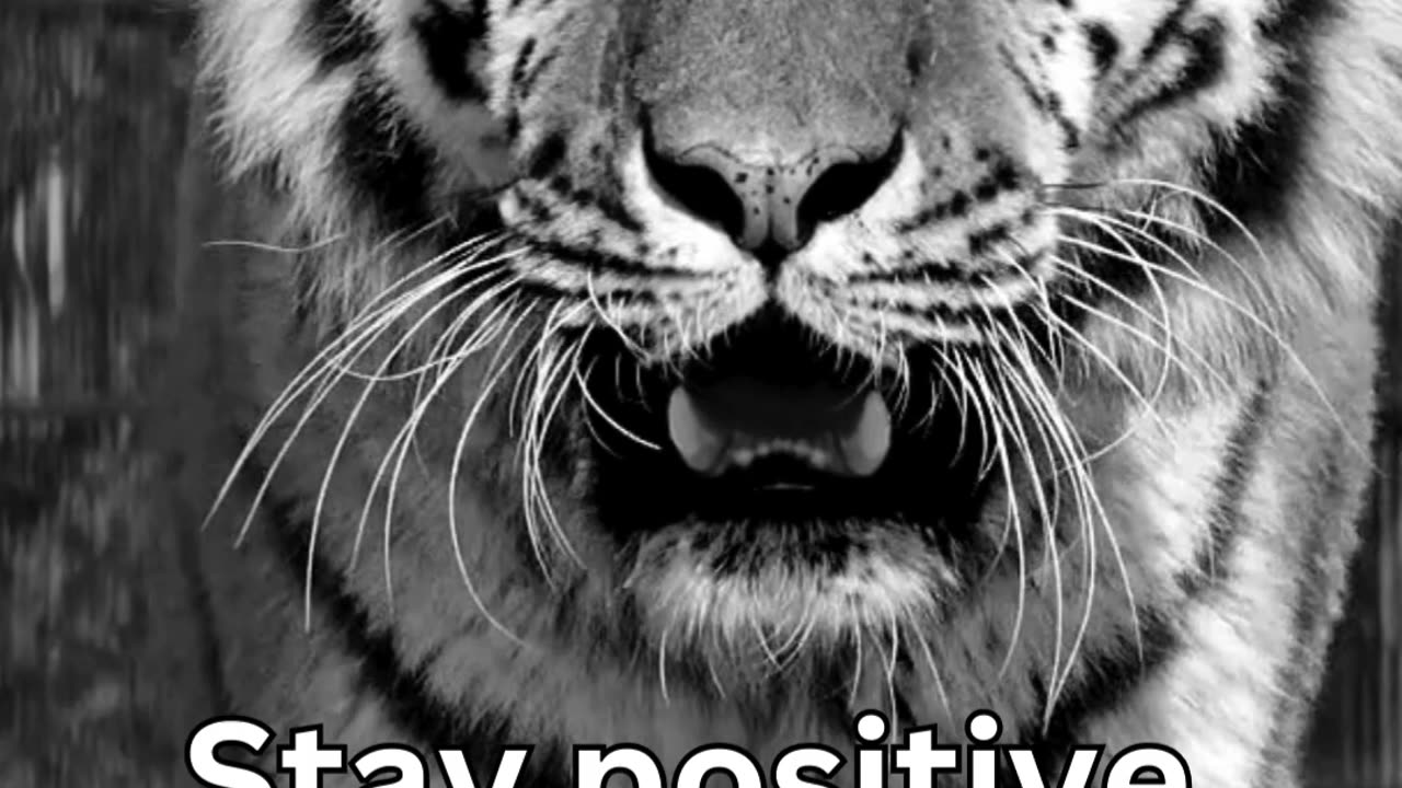 Always stay positive...!!