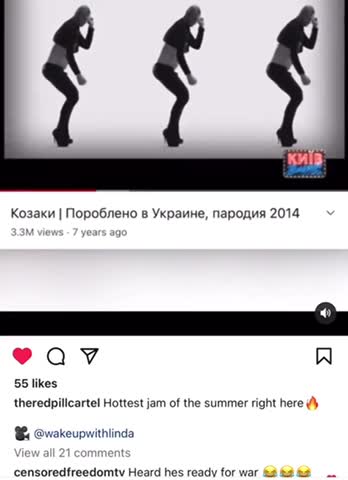 Ukrainian puppet president