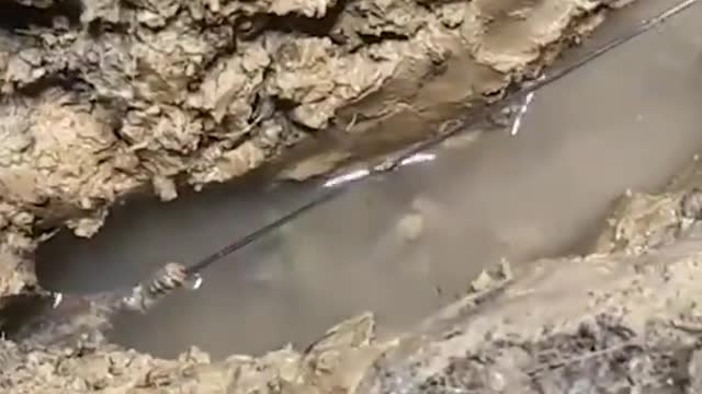 Unique Fishing 🧐 Catching Yellow Monster Eel Fish From Under Deep Mud #4