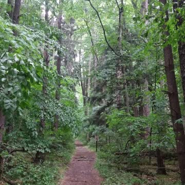 Dennison University Biological Reserve