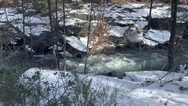 Snowy Forest Trail Overlooking Whychus Creek – Central Oregon