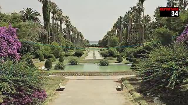 SUR LA GUERRE D’ALGÉRIE 10671-001