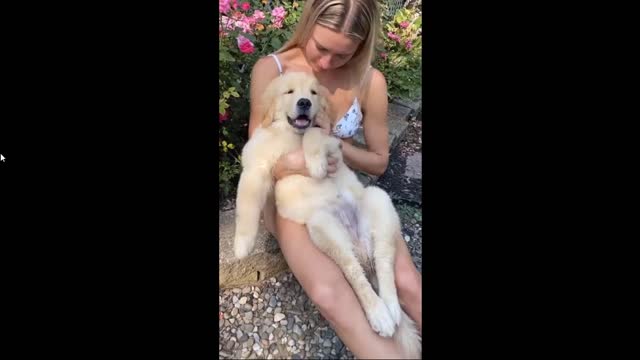 Cute puppy is very happy with cute girl