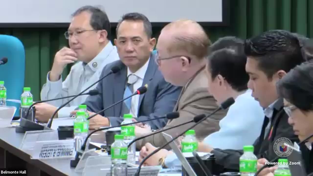 [4th Congressional Hearing] - The WHO is protected and cannot be invited to participate in any parliamentary discussion