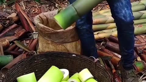 Bamboo Cutting | Oddly satisfying video |