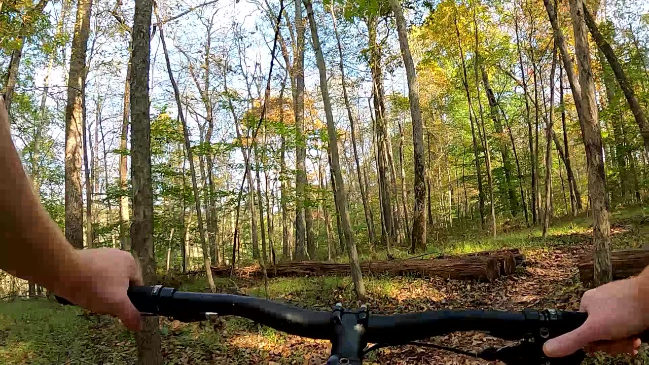 McKeldin Area, Both Sides of the Tall Popular Trail, and Plantation Trail