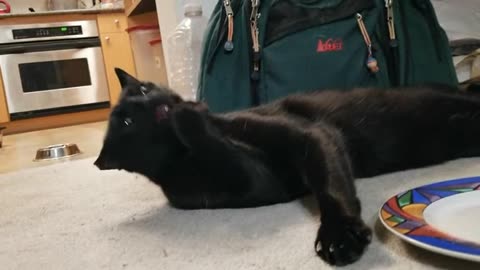 20240327 212140 Tux Getting High on Silvervine