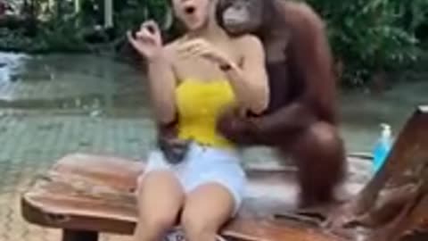 Fucking Monkey