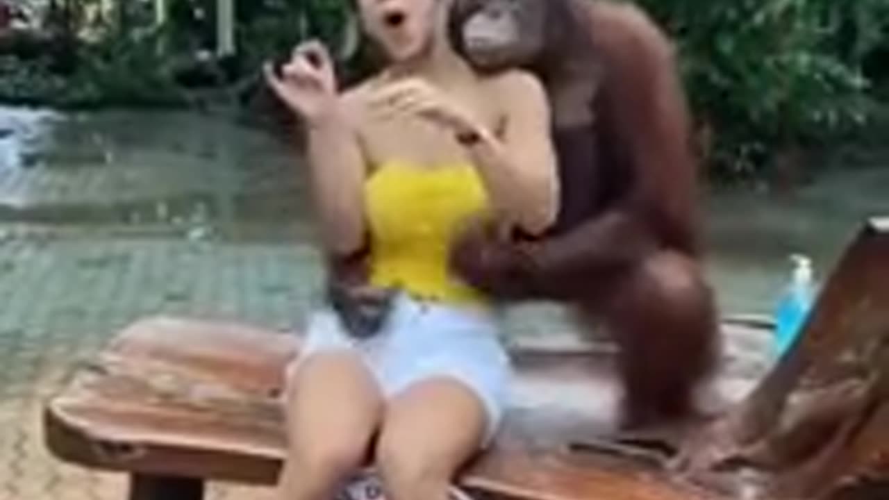 Fucking Monkey