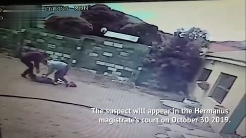 🐕💥 Dogs Save the Day! CCTV Captures Alleged Thief Attacked in Gansbaai 🛑👀