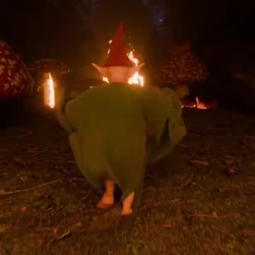 The Gnomes will pay!!!