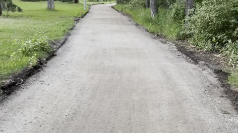 It is not garden. It is more more