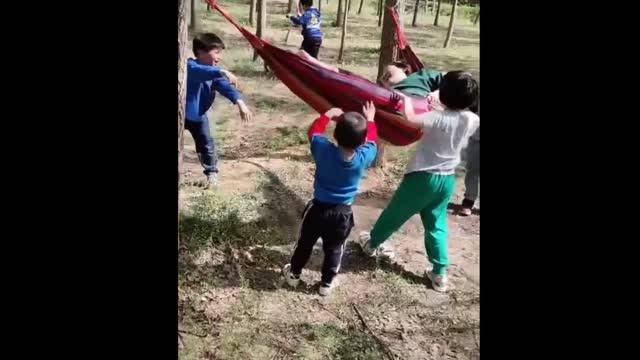 funny videos 2