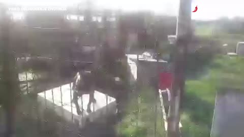 Zadrani sumnjaju da u Musapstanu postoji uzgajalište pit bullova za borbe