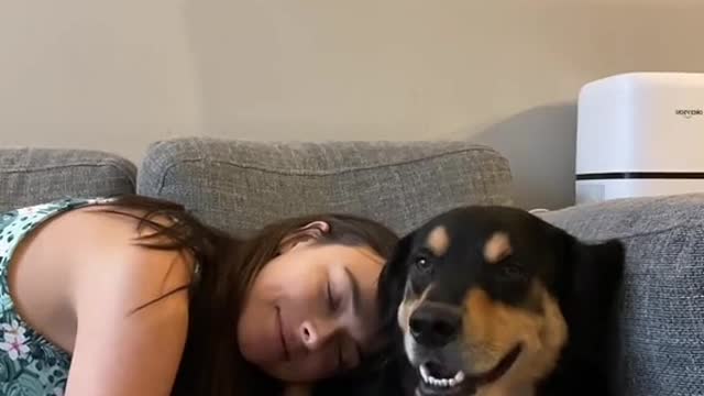 Me risking my entire career to cuddle with my dog for an extra 7 mins