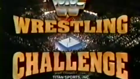 WWF Wrestling Challenge - Feb 03 1991