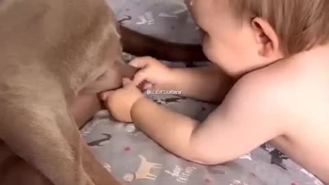 Playing with balls